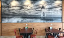 Creating Impact with Photography!