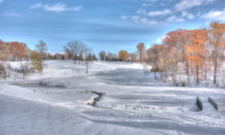 This is a golf course?