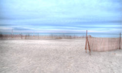 Back Light, Best Light