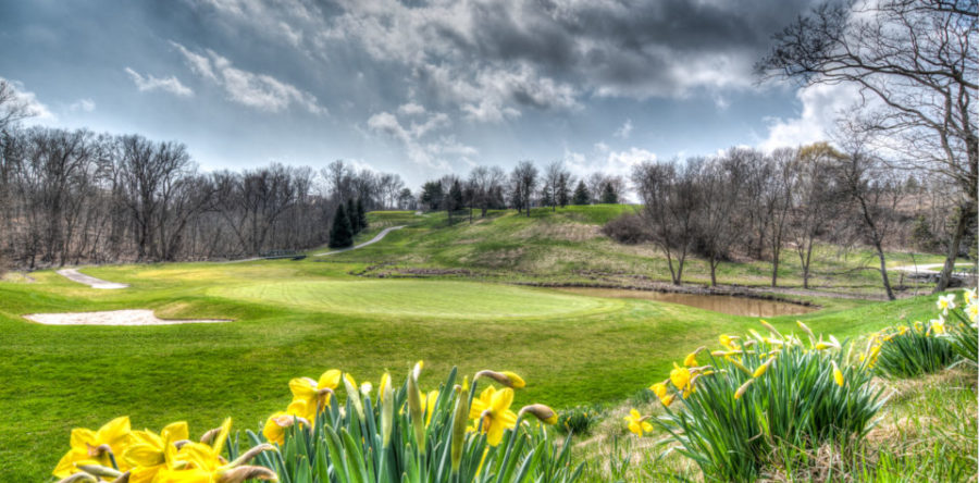 Spring Has Sprung